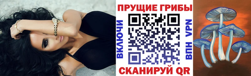 даркнет сайт  Змеиногорск  blacksprut   Галлюциногенные грибы мицелий 